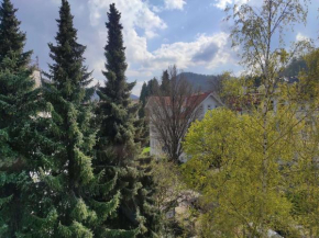 Ferienwohnung Kleines Nest Bad Harzburg